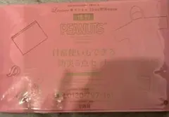 リンネル10月号増刊 未開封付録PEANUTS スヌーピー 防災5点セット