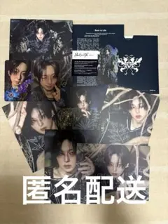 &TEAM Back to Life ROAR FUMA フウマ　ソロジャケ