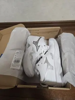 Mizuno ウエーブモーメンタム ELITE MID 24.5cm