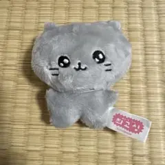 チェゴシム ねこゴシム ぬいぐるみ マスコット ストラップ フリュー 未使用