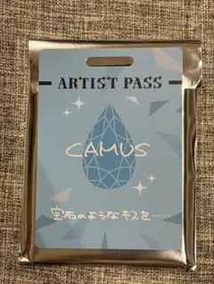 匿名配送】カルライ 千葉 パス風カード 藍 - メルカリ