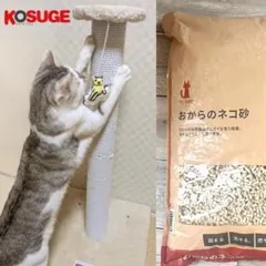 KOSUGE 猫 タワー爪とぎ ポール型 据置型　80cm＋おからの猫砂セットのサムネイル