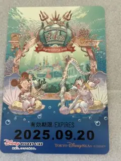 送料込み‼️ディズニー　リゾートライン　フリーきっぷ　ディズニーシー24周年記念