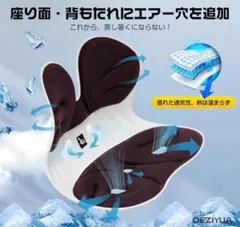 【ドイツ レッドドット賞受賞ブランド】(デズヤ）第二世代 姿勢矯正 椅子登場！