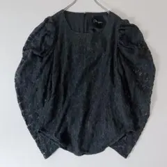 Pheeta フィータ Harey ブラウス 長袖チュニック シアー 美品 シャツ ブラウス レディース 長袖 チュニック 無地 ミドル丈