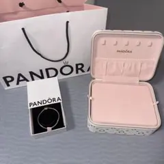 2026年最新】PANDORA 付属品：箱 レディース アクセサリー その他の
