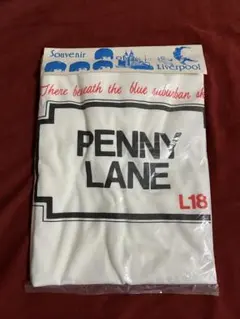 Item thumbnail for item 0fcddff6-b514-4bdc-bd71-6e7e04a58f11