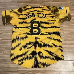 Item thumbnail for item 2a68651a-c550-4423-b676-81b79400a337