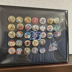 【新品未開封】 東京ディズニーリゾート 25周年 缶バッジ