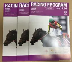 エリザベス女王杯2025 レーシングプログラム