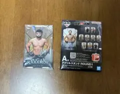 RIZIN一番くじ ウガール・ケラモフ A賞 アクリルスタンド