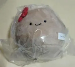 2026年最新】ココナッツ ぬいぐるみの人気アイテム - メルカリ