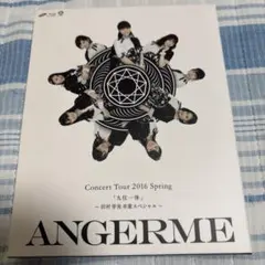 アンジュルム 2016 九位一体