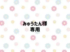 みゅうたん様専用