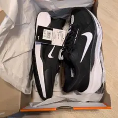 NIKE エアズーム ペガサス イージーオン FQ7837-002 27cm