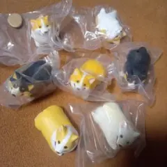 こぎさんぽ　7種類　もんとみ
