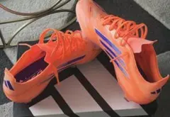 Item thumbnail for item 4ee087f3-9484-43bf-98b4-fe9e1ca999a6