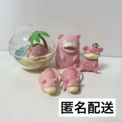 ヤドン→ヤドラン→ヤドキング／ 希少初期 進化完結 ポケモン モンコレ 