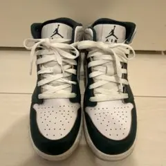 Air Jordan 1 mid se gs