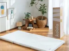 Item thumbnail for item 6e3a7832-0cbf-46e0-93ef-06281a8e1aee