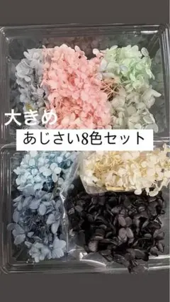 最終値下げ！アジサイ8色セット売り