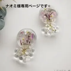 ナオミ様専用ページです星