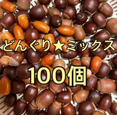 どんぐり★ミックス100個