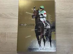 【競馬 1口馬主】キャロットクラブ募集馬カタログ2017年