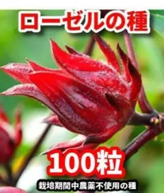 ましゃ様 リクエスト 2点 まとめ商品