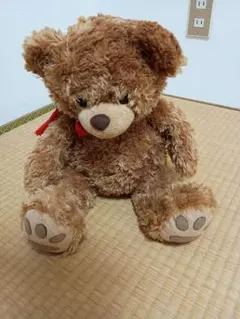 Item thumbnail for item fa38b767-bc46-4e45-8dba-73067c76af7d