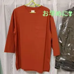 BACKNUMBER！Lサイズ、七分袖シャツ、スリットあり。レディース、美品！