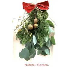 フレッシュ✨実付きヒバ＆ユーカリ　のいばら Xmas スワッグ♪ 約23✖️30㎝