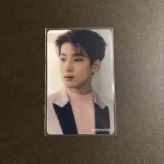セブチ トレカ ひとりじゃない ウォヌ SEVENTEEN ウォヌ ひとりじゃない hmv トレカ - メルカリ
