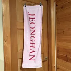 SEVENTEEN Ode to You ジョンハン タオル