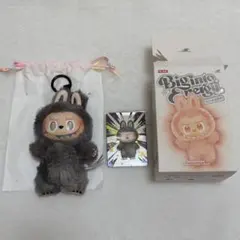 2025年最新】LABUBUシークレットの人気アイテム - メルカリ