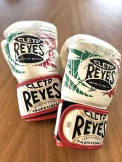 2025年最新】レイジェス グローブ 8 オンスの人気アイテム - メルカリ