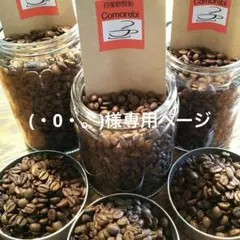 (・0・。)様専用ページ