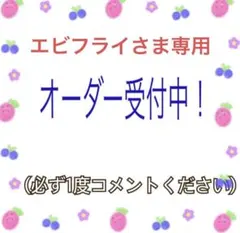 エビフライさま専用