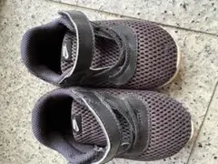 Item thumbnail for item 3710b684-ce9d-4391-b81a-93981ed4c184