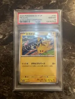 PSA10】ピカチュウ2024 197/SV-P ジムプロモ げきとうスパーク - メルカリ