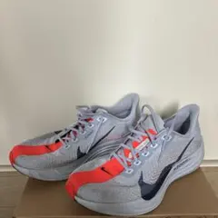 NIKE PEGASUS PREMIUM VOLT 27cm 22キロ着用 - メルカリ