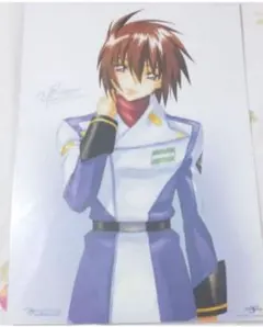ガンダムSEED DESTINY キラ ポートレート ポートレイト ポスター