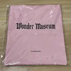 Mrs. GREEN APPLE Wonder Museum バッグ 福岡