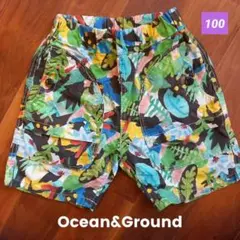 Item thumbnail for item 79d69d6e-52dc-4446-b16d-82a4732c3fa8