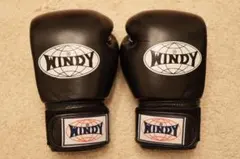 【極美品】WINDY10ozグローブ&イサミバンテージ&ミズノドライヤーのサムネイル
