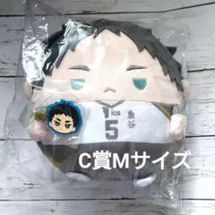 【新品】ハイキュー くじメイト ぬいくじ C賞 ふわコロりん Мサイズ 赤葦京治