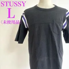 STUSSY ステューシー 2010s厚手ラインポケットTシャツ　未使用品　L
