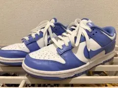 NIKE DUNK LOW RETRO ポーラーブルー　25cm