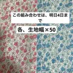 リバティタナローン　2026SSアシュテッド　 2種のセット販売