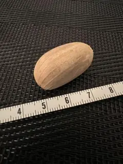 2026年最新】ソテツ 種子の人気アイテム - メルカリ